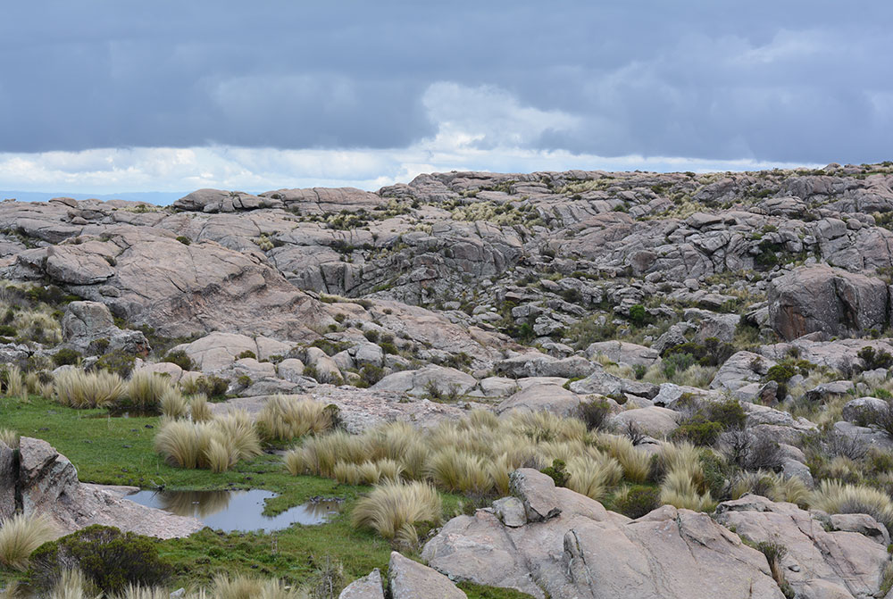 Valle del Aguila